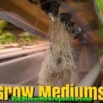 hydro grow medium